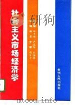社会主义市场经济学（1996 PDF版）