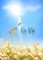 苏联顾问在中国(1923--1927) 1980年12月第1版 PDF电子版封面 中国社会科学院 近代史研究所翻译室
