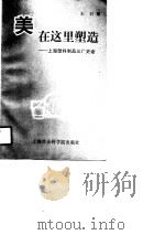 美在这里塑造 上海塑料制品三厂史话 1990 PDF电子版封面 7805155976 王石著