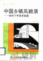 中国乡镇面貌录 农村十年改革掠影 第1辑 1991 PDF电子版封面 7800911268 张艺主编