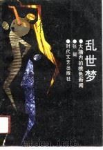 乱世梦  大墙内的桃色新闻（1989 PDF版）