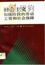 社会主义初级阶段的劳动工资和社会保障（1994 PDF版）