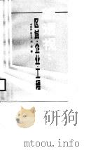 新透视  区域、企业、工程（1988.11 PDF版）