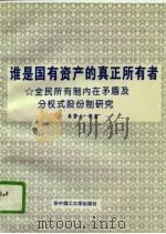 谁是国有资产的真正所有者  全民所有制内在矛盾及分权式股份制研究（1994 PDF版）