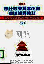1996年审计专业技术资格考试辅导教材  下  审计理论与实务（1996 PDF版）