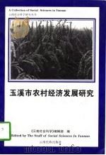玉溪市农村经济发展研究（1997 PDF版）