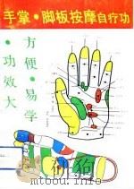 手掌脚板按摩自疗功   1993  PDF电子版封面  7536325525  丘观森，陆毅编著 