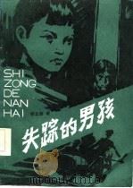 失踪的男孩 1986 PDF电子版封面 杨立新著;延边群众艺术馆编