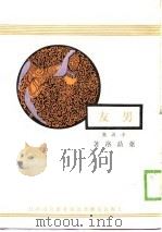 男友  小说集（ PDF版）