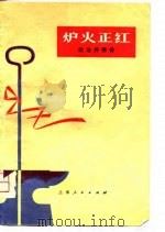 炉火正红  政治抒情诗（1975 PDF版）