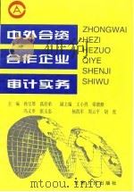 中外合资合作企业审计实务（1995 PDF版）