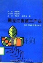 黑龙江省第三产业 1990 PDF电子版封面 姜秀丽,姜国政等