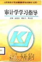 审计学学习指导 1993 PDF电子版封面 7532817210 宋现华等主编