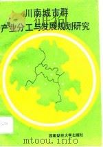 川南城市群产业分工与发展规划研究 1993 PDF电子版封面 7810175408 王克诚,康银劳主编