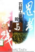 农村工业化的思考与实践（1997 PDF版）