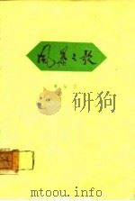风暴之歌 1975 PDF电子版封面 赛福鼎著