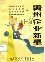 贵州企业新星（1990 PDF版）
