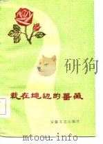 栽在地边的蔷薇 1984 PDF电子版封面 王夫臣等著;阜阳文联筹编