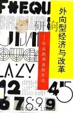 外向型经济与改革  张高鹏调查报告选（1993 PDF版）