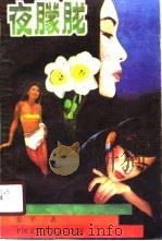 夜朦胧（1989 PDF版）