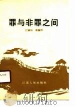 罪与非罪之间（1990 PDF版）