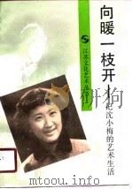 向暖一枝开 记沈小梅的艺术生活 1990 PDF电子版封面 7539901969 李克因著