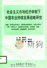 社会主义市场经济体制下中国农业持续发展战略 1996 PDF电子版封面 780093876X 郭焕成主编
