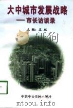 大中城市发展战略  市长访谈录（1998 PDF版）