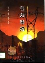 电力市场 1998 PDF电子版封面 7801256093 于尔铿等编著