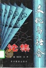 文化与社会论集（1997 PDF版）
