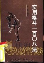 实用格斗一百零八法（1992 PDF版）