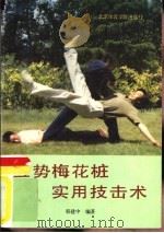 五势梅花桩实用技击术（1990 PDF版）