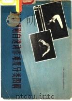体操规则自选动作难度分类图解（1958 PDF版）