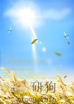 集成电路工业全书 技术·经济·管理（ PDF版）