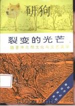 裂变的光芒 魏晋南北朝文化与文艺美学 1995 PDF电子版封面 7805235899 施惟达著