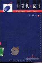 计算机与法律   1998  PDF电子版封面  750362423X  孙铁成著 