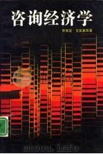 咨询经济学（1990 PDF版）