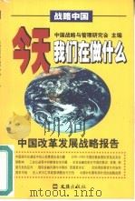 今天我们在做什么  中国改革发展战略报告（1999 PDF版）