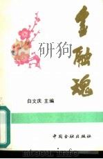 金融魂   1992  PDF电子版封面  7504908576  白文庆主编 