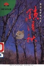 锁清秋（1993 PDF版）