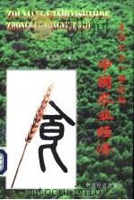 走向21世纪的中国农业经济（1997 PDF版）