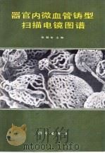器官内微血管铸型扫描电镜图谱（1988 PDF版）
