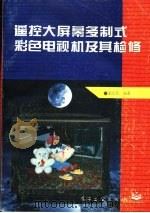 遥控大屏幕多制式彩色电视机及其检修（1994 PDF版）