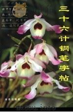 三十六计钢笔字帖（1994 PDF版）