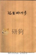 迟发的内参 1993 PDF电子版封面 7505917757 小流著