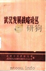 武汉发展战略论丛 PDF电子版封面 武汉市经济研究所,武汉市人民政府咨询委员会办公室编