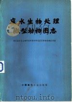 废水生物处理微型动物图志   1976  PDF电子版封面  15040·3269  湖北省水生生物研究所第四研究室无脊椎动物区系组著 