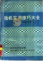 微机实用技巧大全  一、二（ PDF版）