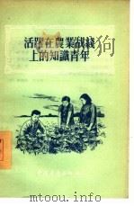 活跃在农业战线上的知识青年 1955 PDF电子版封面 中国青年出版社编