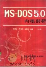 MS-DOS5.0内核剖析  中册（1992 PDF版）